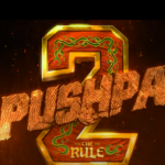 Pushpa 2 :The Rule